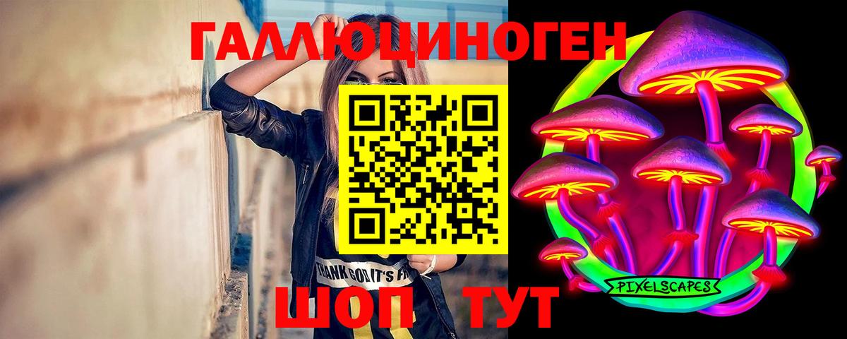 Псилоцибиновые грибы Cubensis  Вход с VPN  Новошахтинск 